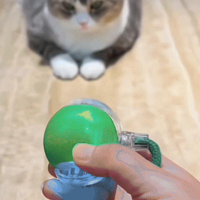 Pelota Interactiva